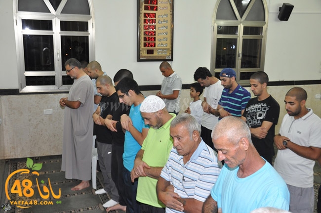 qader yaffa msajed (56).JPG